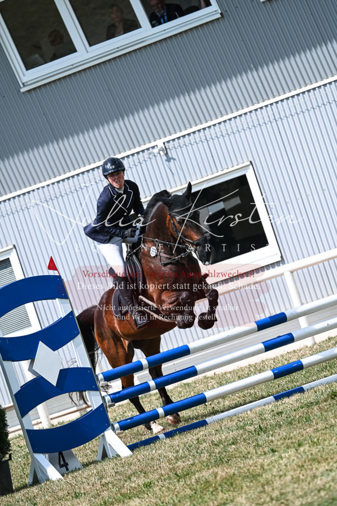 DSC_8866 | Pferde- und Turnierfotografie in Westsachsen. Pferdeportraits, Auftragszeichnungen und intuitive Kunst.