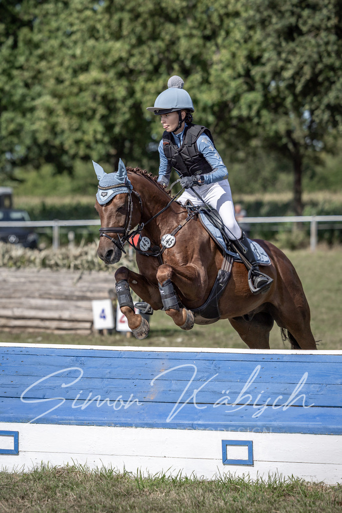 20250907-_3LI0039 | Tierfotografie Pferde, Hunde, Katzen, Haustiere.
Turnierfotografie Reitturniere, Reiten, Springreiten, Dressur in Hanau, dem Main-Kinzig-Kreis und dem Rhein-Main- Gebiet um Frankfurt