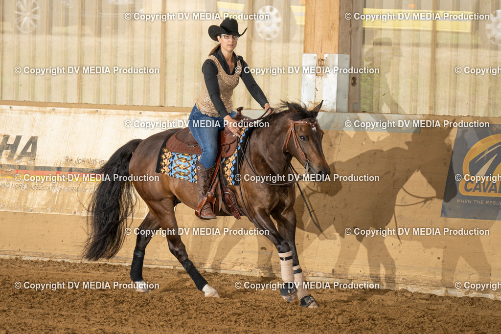 LAU01492 | dv-media-shop - Realisiert mit Pictrs.com