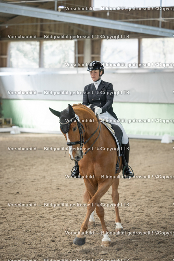 _D5A5063 | Emotionale Pferde- & People-Fotografie rund um Heidelberg, Leimen & Umgebung. Natürliche Fotos von Pferd, Mensch & Familie. Jetzt Termin sichern!