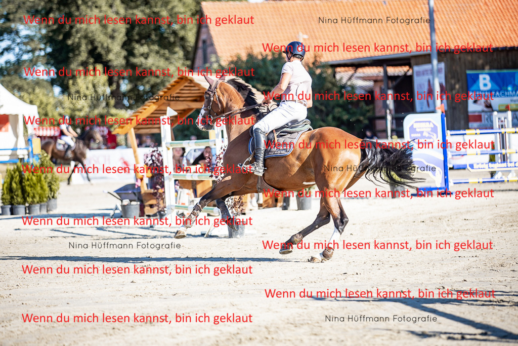 BK1A8132 | Turnierbilder Turnierfotos Nina Hüffmann Turnierfotografie Pferdefotografie Tierzeichnung Haustierzeichnung Pferdezeichnung Hundezeichnung Videograf  - Realisiert mit Pictrs.com