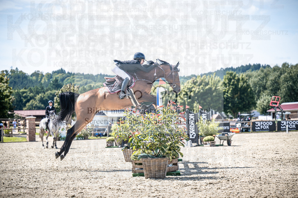 DOS_5721 | Entdecke hochwertige Reitturnierfotos von Foto Oger. Professionell, emotional und authentisch – jetzt Lieblingsmomente im Shop bestellen.Deutschlandweite Turnierfotografie. - Realisiert mit Pictrs.com