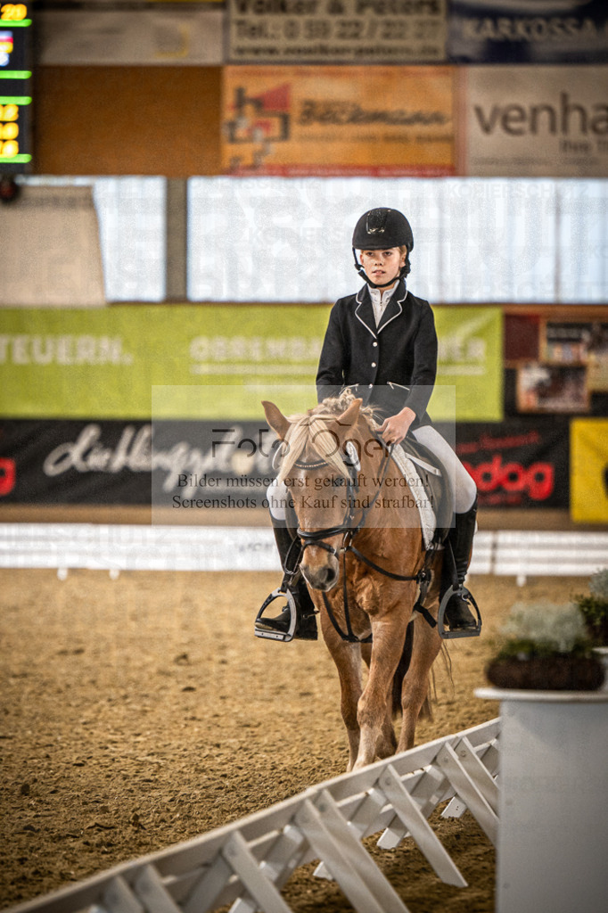 DOS_1979 | Entdecke hochwertige Reitturnierfotos von Foto Oger. Professionell, emotional und authentisch – jetzt Lieblingsmomente im Shop bestellen.Deutschlandweite Turnierfotografie. - Realisiert mit Pictrs.com