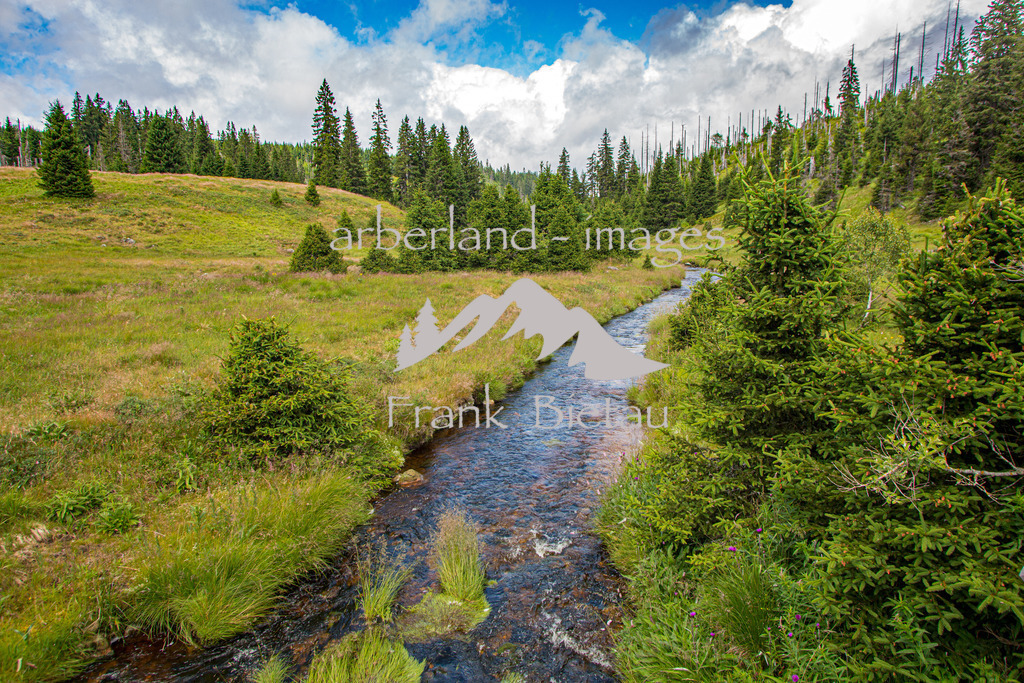 _Z5A4944 | Medien- Sport- Entertainmentfotos