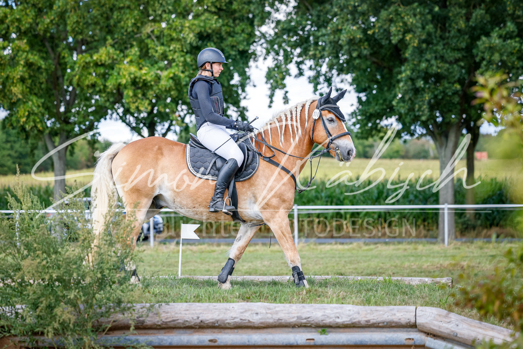 20250905-_3LI0237 | Tierfotografie Pferde, Hunde, Katzen, Haustiere.
Turnierfotografie Reitturniere, Reiten, Springreiten, Dressur in Hanau, dem Main-Kinzig-Kreis und dem Rhein-Main- Gebiet um Frankfurt