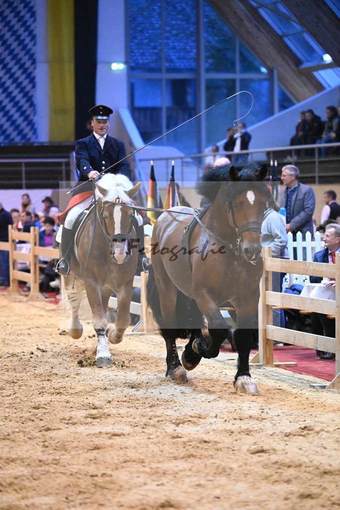 Schauprogramm_54222469 | hf-fotografie - Realisiert mit Pictrs.com