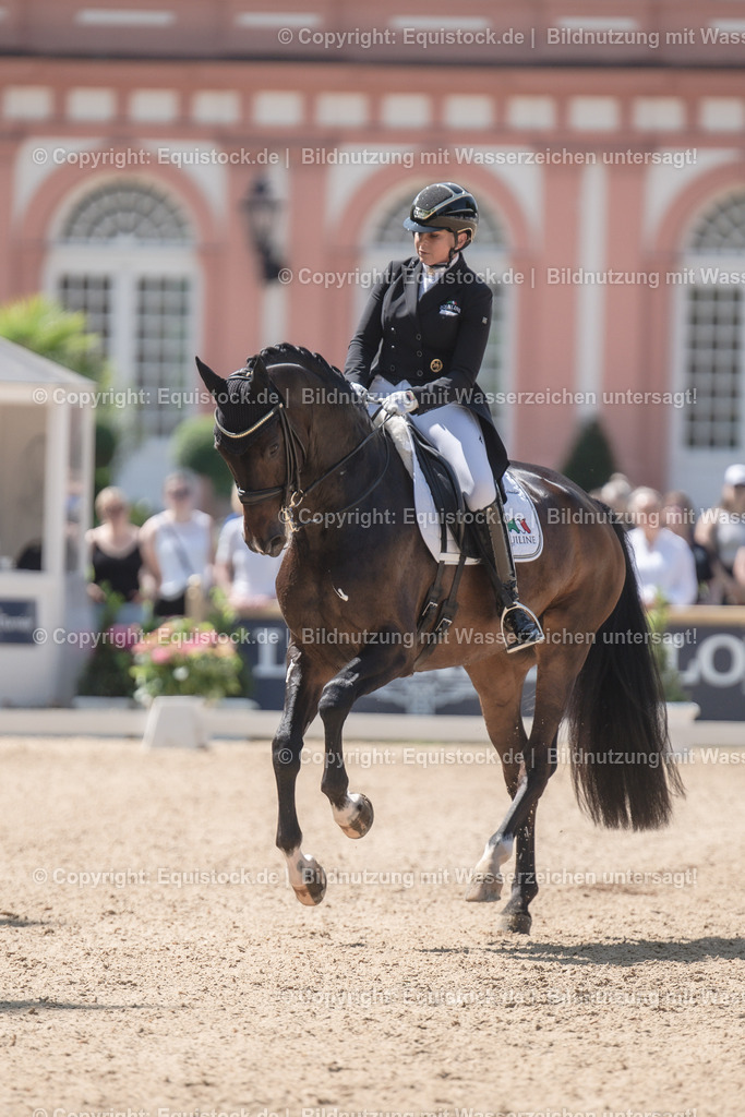 20230528_03_GP-Special-Tour_0102 | equistock