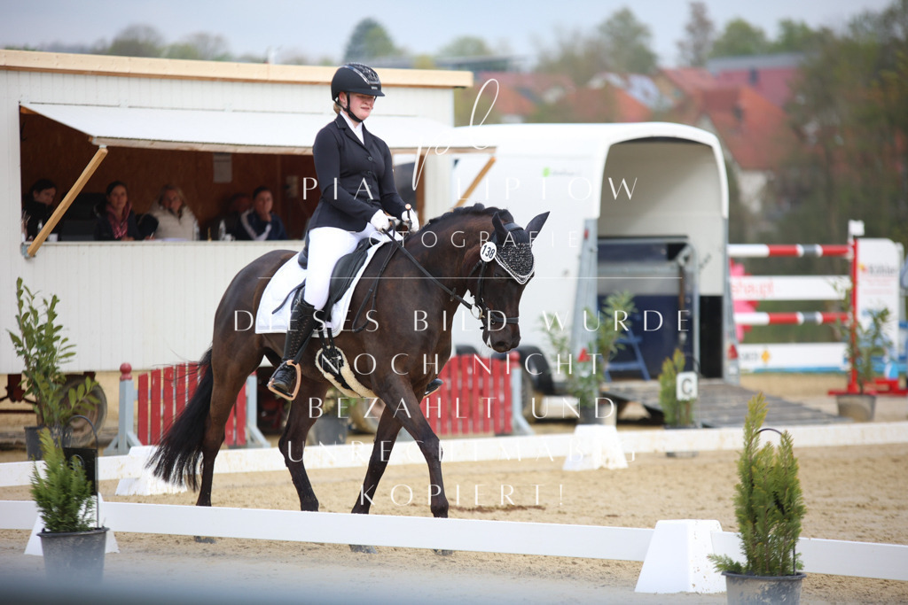 IMGT6944 | pl-fotografie