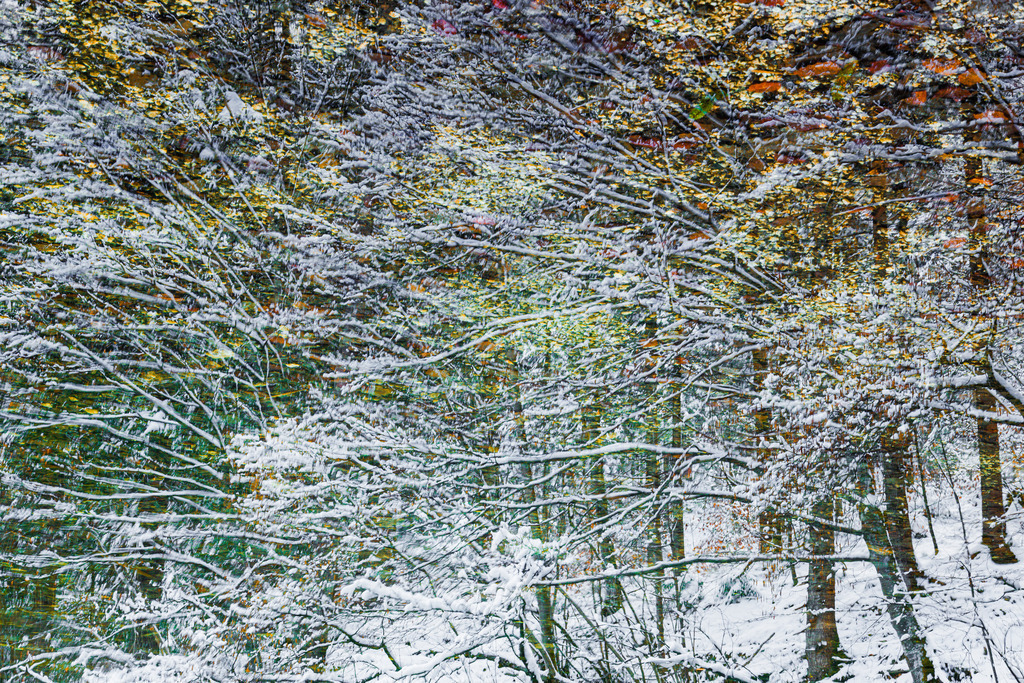 _T2A9333 | ap-design // andreas plenk - Realisiert mit Pictrs.com