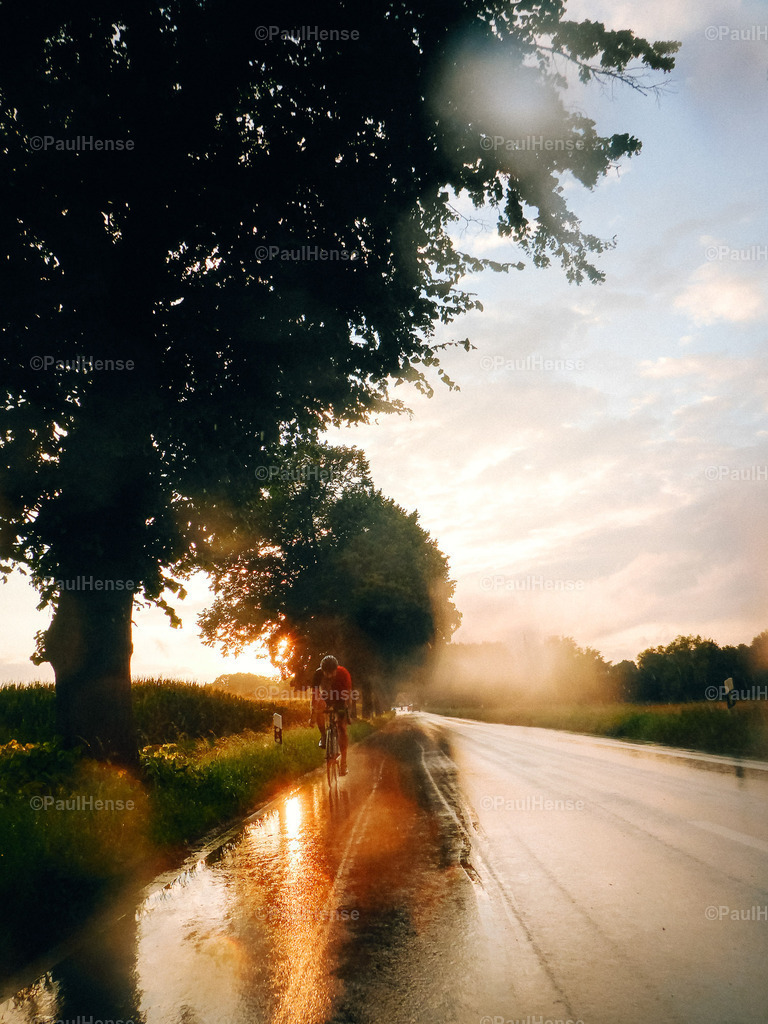 20210810_0029_PaulHense_P1100286 | paulhense - Realisiert mit Pictrs.com