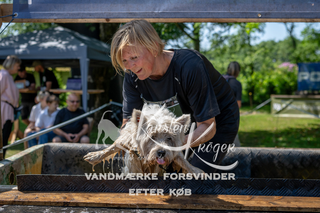 1216_ZZ90652 | kk-dogfotos