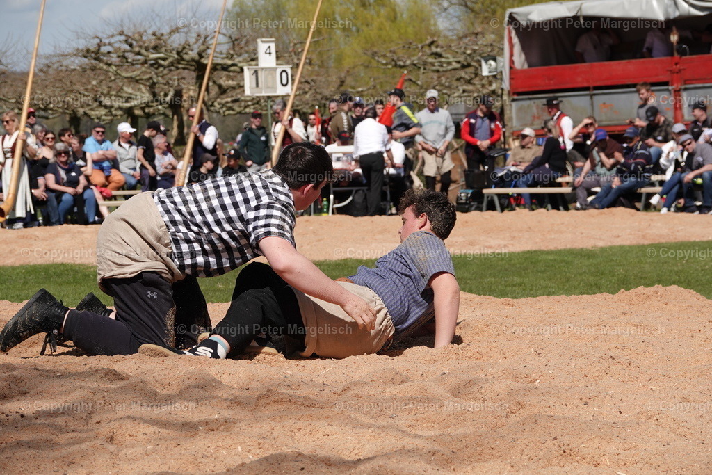 DSC02337 | Schwingen - Realisiert mit Pictrs.com