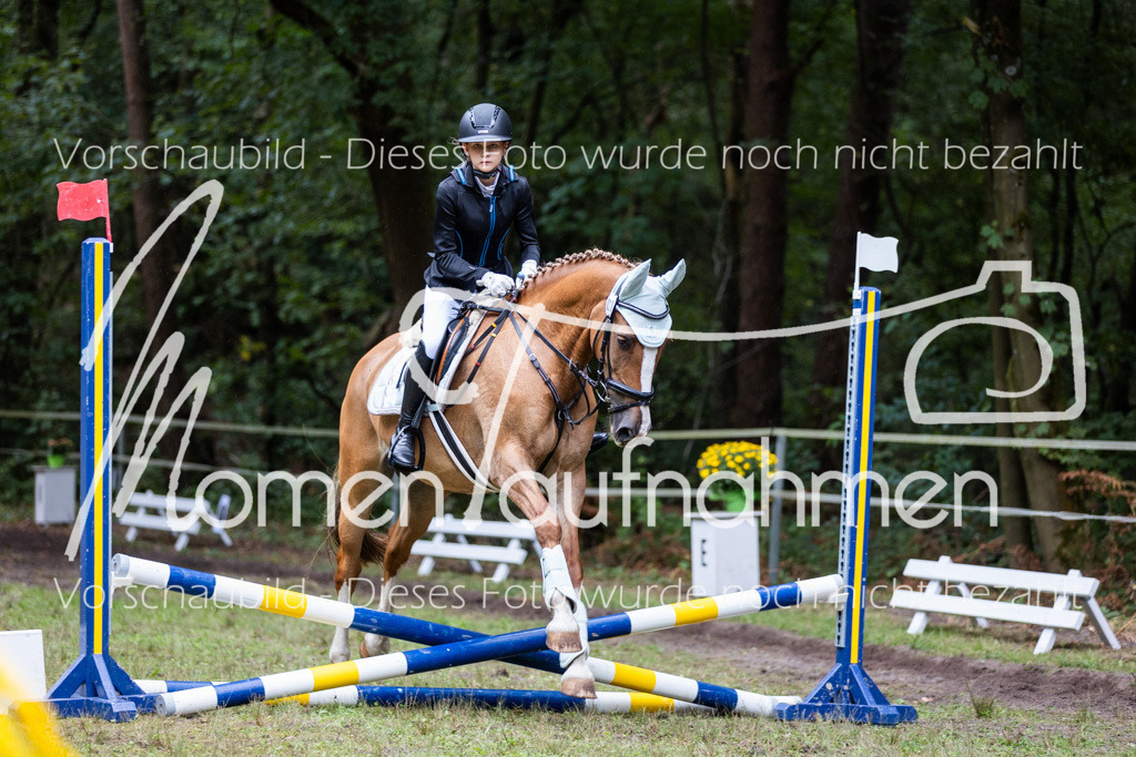 HB-Caprilli-039 | MomenTaufnahmen Pferdesportfotos