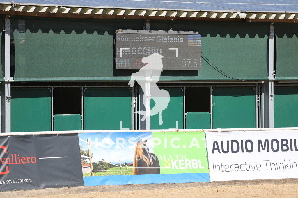0P6A8762 | Willkommen bei Brunnmayr - Design & Fotografie – Ihrem Spezialisten für Reitturniere und Pferdeveranstaltungen in Oberösterreich, Salzburg und Bayern! Seit über 17 Jahren sind wir leidenschaftlich dabei.