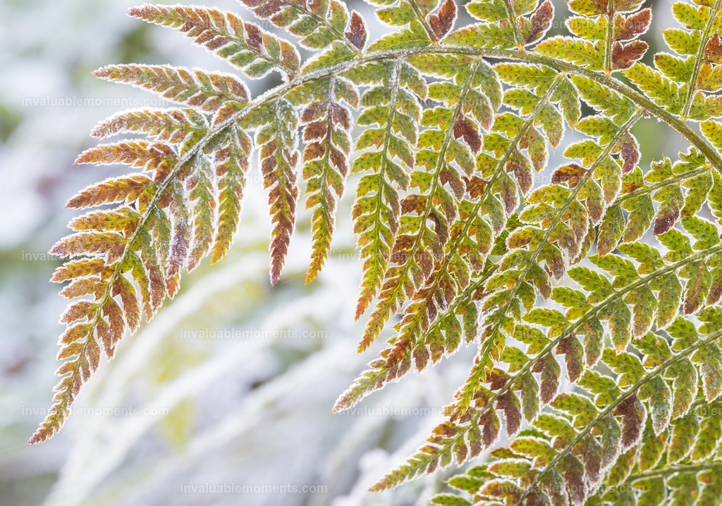 DSC_2223 | invaluablemoments.com - Realisiert mit Pictrs.com