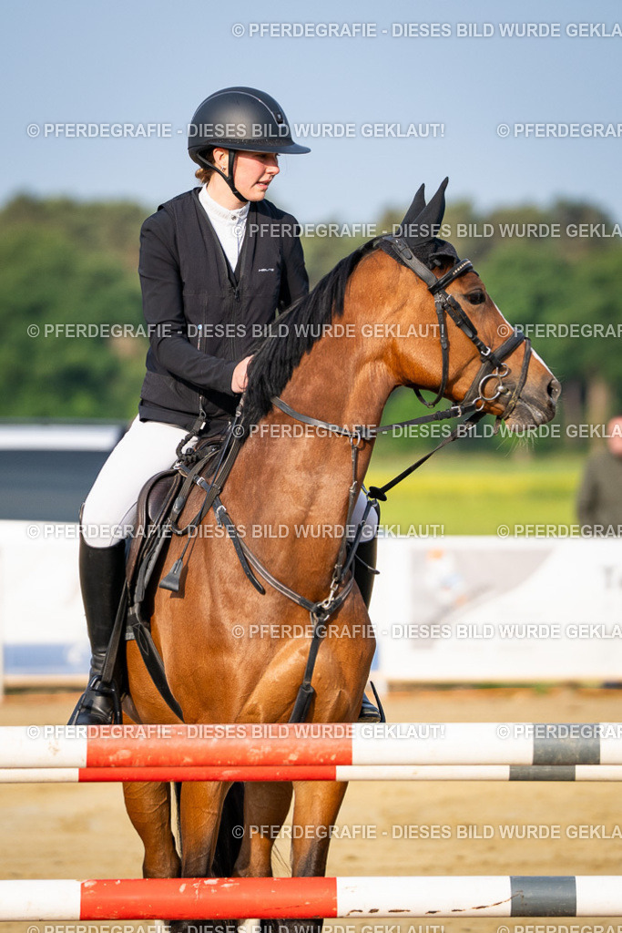 DSC02050 | Pferdegrafie