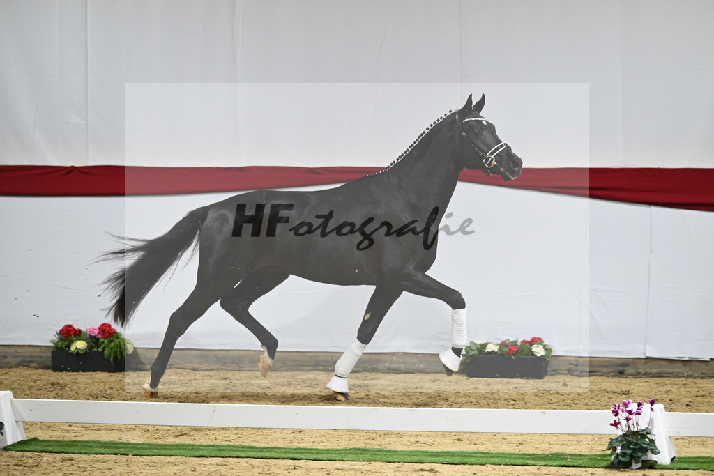 Kat-Nr. 65 v. Ferrantino_Greim_63221656 | hf-fotografie - Realizzato con Pictrs.com