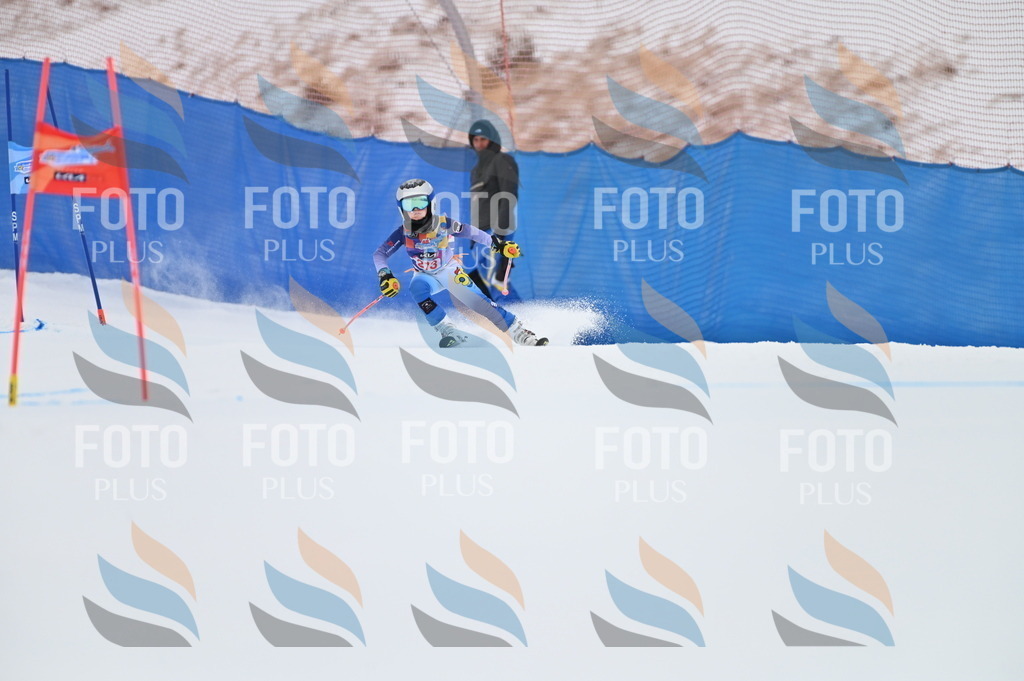 BGV_2554 | holidayphoto