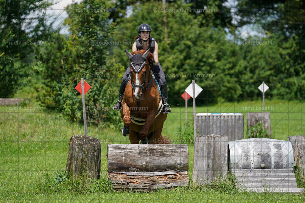 20240622-FAH06825 | Turnierfotografen Bayern, Reitsportbilder aus dem Geländekurs mit Felix Etzel auf dem Gut Waitzacker 2024