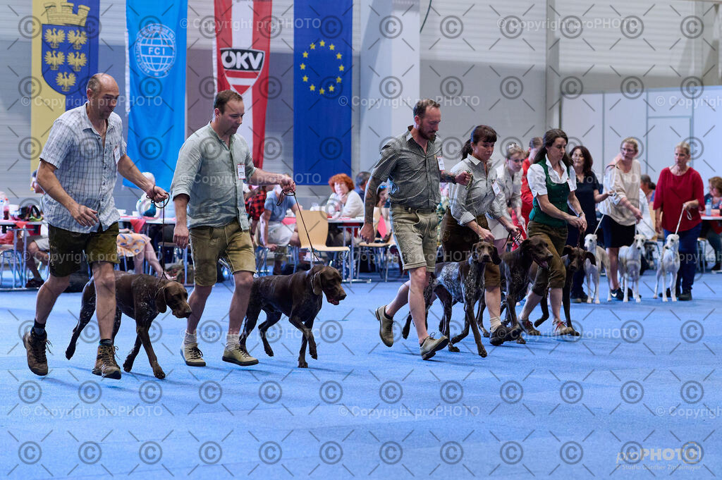 202406_ÖKV-IHA-Tulln24_DSC_3758 | proPHOTO - Realisiert mit Pictrs.com