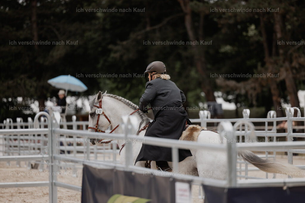 WE__Stoib_Rinder_PI2025_3097 | Pferd International München 2025