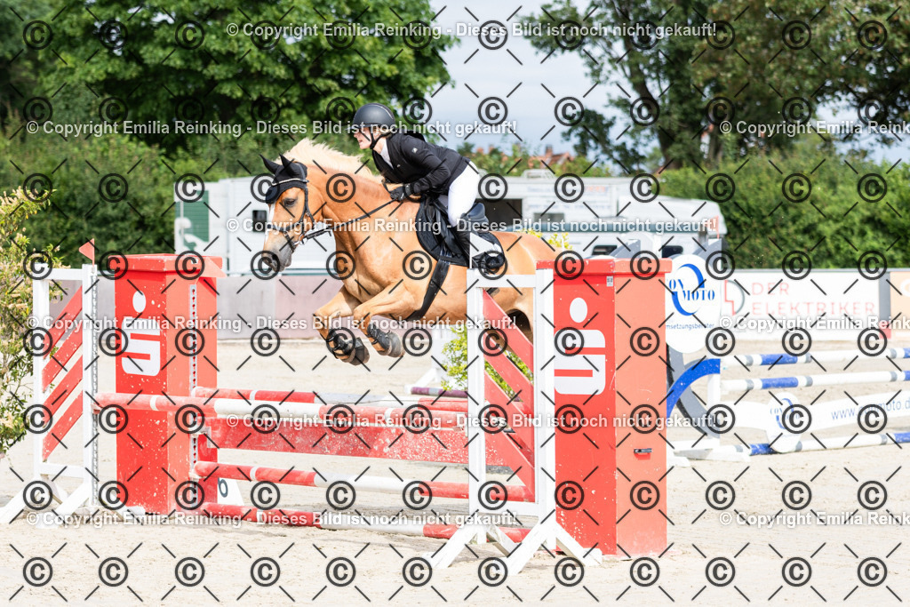 CL5A2699 | Emilia Reinking Fotografie - Realisiert mit Pictrs.com