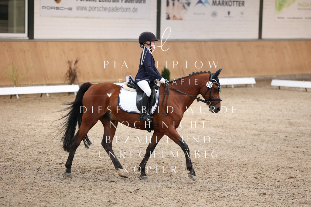 IMGM8841 | pl-fotografie