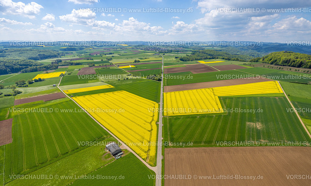 Marsberg240504160Obermarsberg | Luftbild, weites Land Naturschutzgebiet Galgenberg, Rapsfelder und grüne Wiesen, Fernsicht mit blauem Himmel und Wolken, kachelförmige Strukturen Wiesen und Feldern, Obermarsberg, Marsberg, Sauerland, Nordrhein-Westfalen, Deutschland