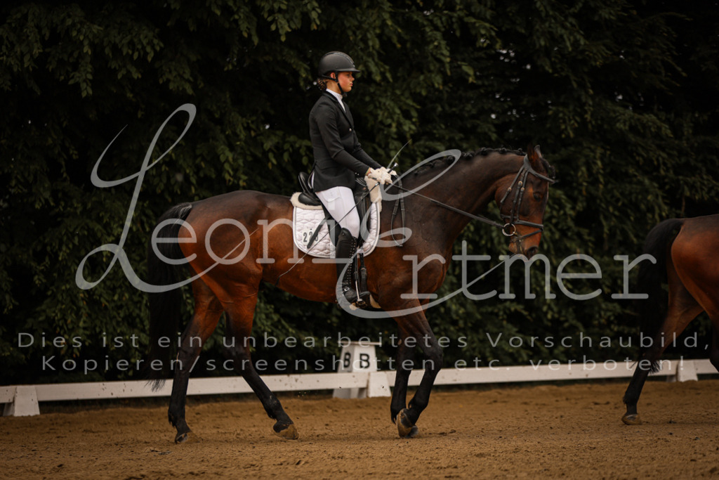 DoDrE00065 | Leoni Ertmer Photography - Realisiert mit Pictrs.com