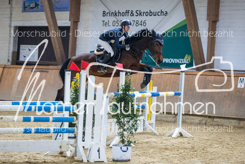 Sth-LPO25-L-Spr-004 | MomenTaufnahmen Pferdesportfotos