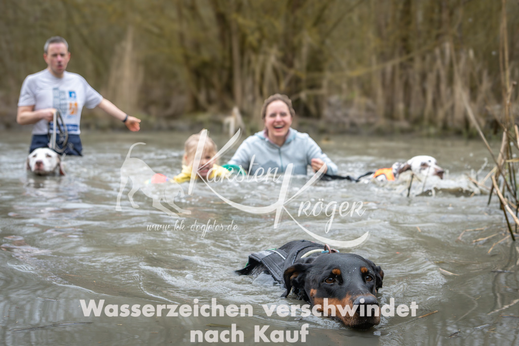 1012_ZZ96872 | kk-dogfotos