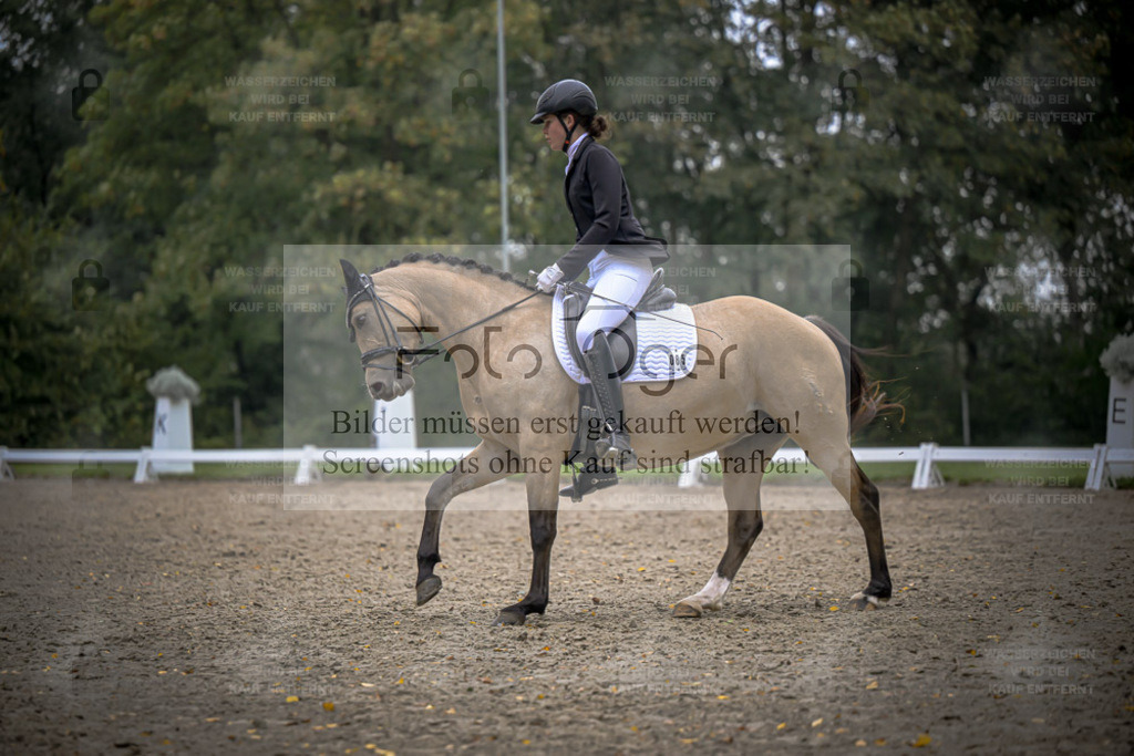 FOTO OGER | Entdecke hochwertige Reitturnierfotos von Foto Oger. Professionell, emotional und authentisch – jetzt Lieblingsmomente im Shop bestellen. - Realisiert mit Pictrs.com