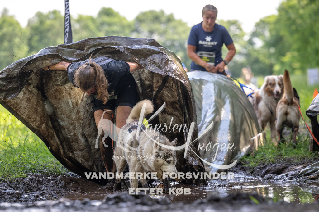 1157_ZZ90419 | kk-dogfotos