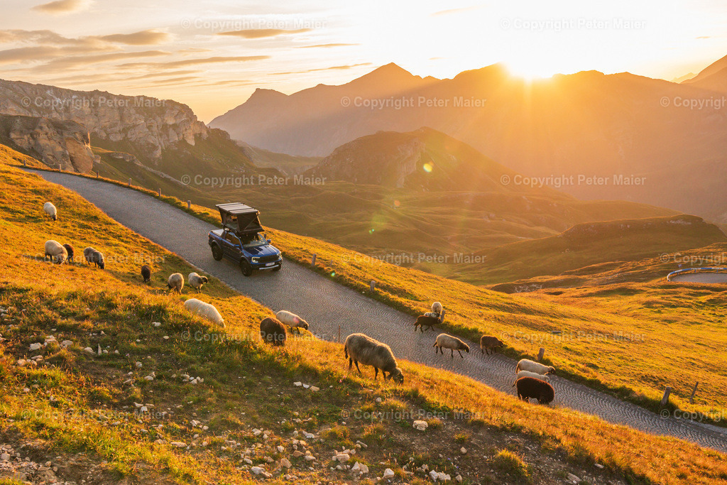 Inter_Trade_2023-493 | piet_flosse