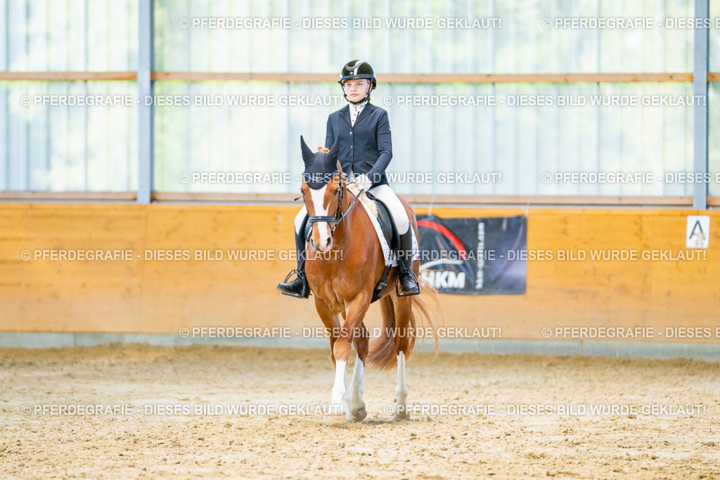 DSC06786 | Pferdegrafie