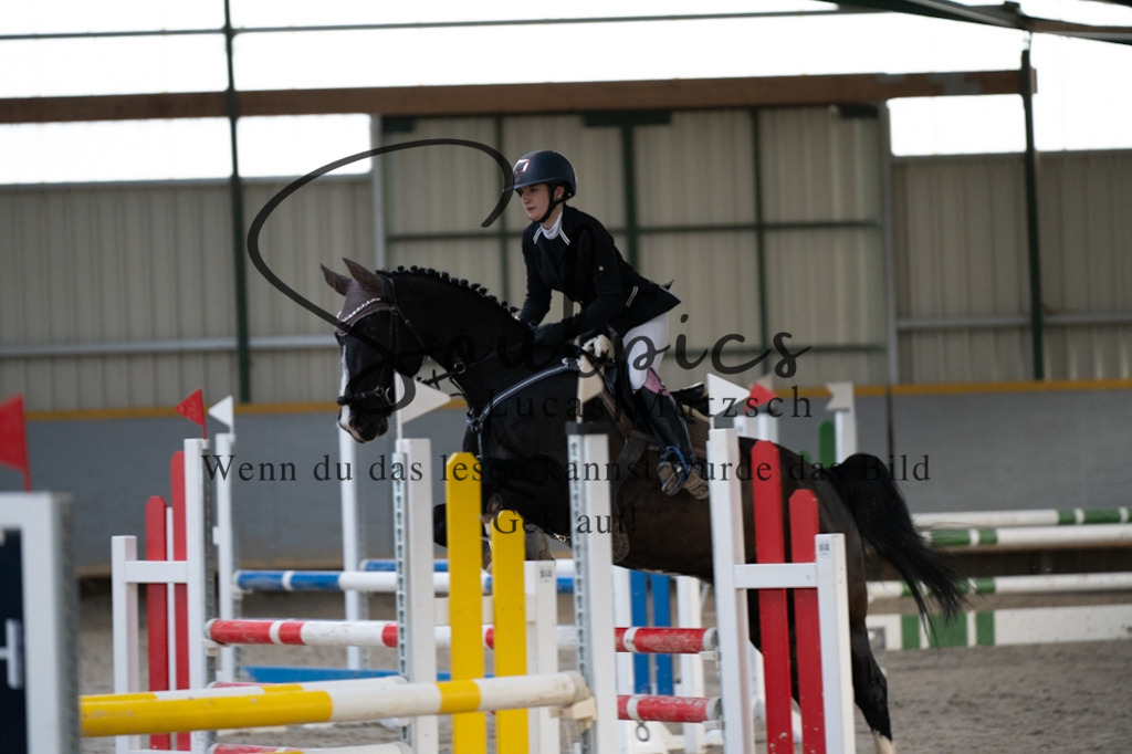 A7V02640 | Pferdefotograf