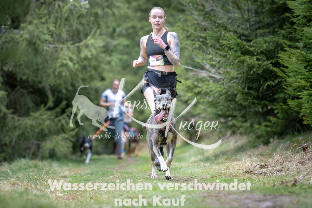 1304_ZZ93531 | kk-dogfotos