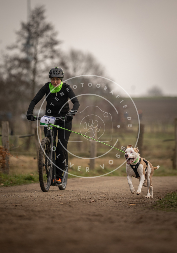 Pfotenfotografie_DV3A4123 | Hundefotografie, Tierfotograf, Pfotenfotografie, Fotoshooting Hund, Hunde Portrait, Hundesport, Hundeportraits, Heideshooting, Hunde, Sportfotograf, Hundefotograf, Turnierhundsport, THS,  - Realisiert mit Pictrs.com