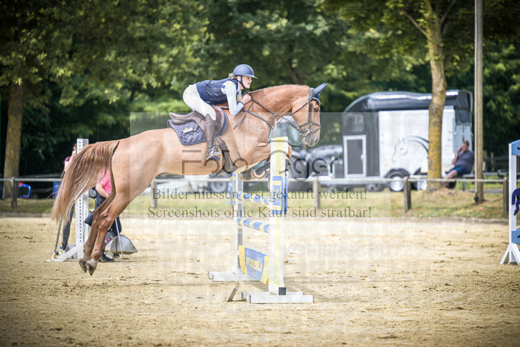 DOS_1259 | Entdecke hochwertige Reitturnierfotos von Foto Oger. Professionell, emotional und authentisch – jetzt Lieblingsmomente im Shop bestellen.Deutschlandweite Turnierfotografie. - Realisiert mit Pictrs.com