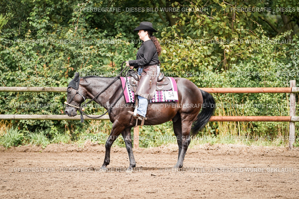 DSC07021 | Pferdegrafie