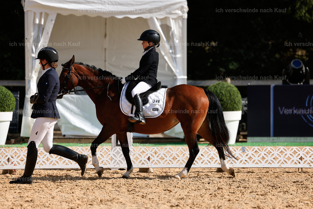 01--Ponyführzügel -StoibPH-6616 | working equitationturnier fotograf videograf stoibphotography marixx film working equitation deutschland reitsport turnierfotografie eventfotografie equestrian events