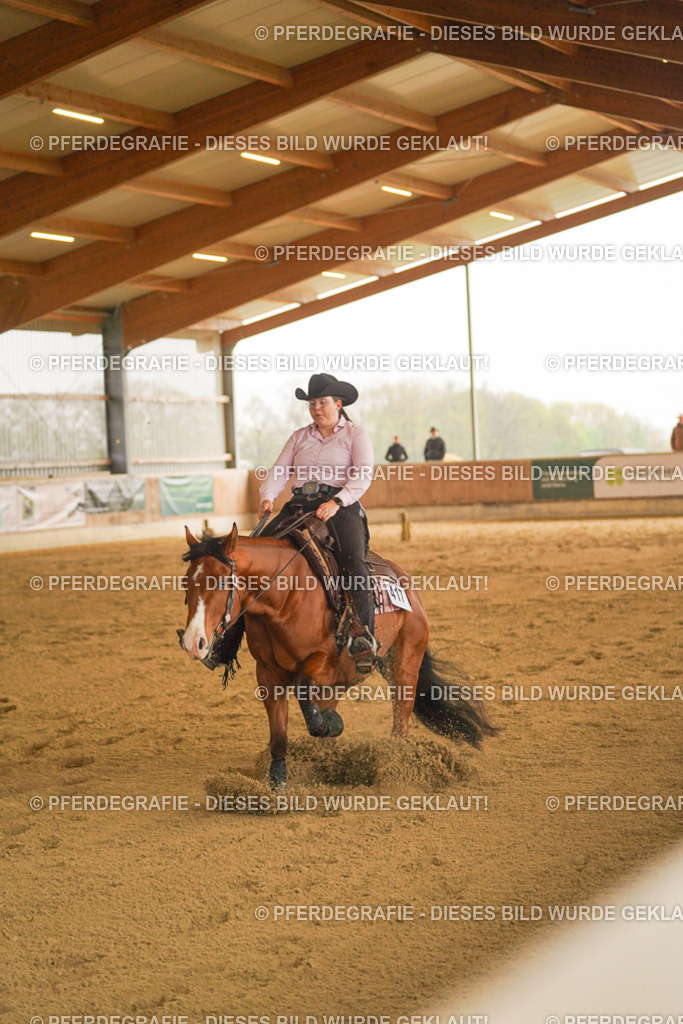 DSC00216 | Pferdegrafie