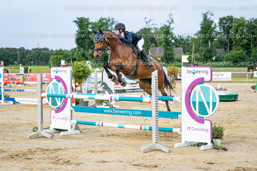 DSC03532 | Pferdegrafie