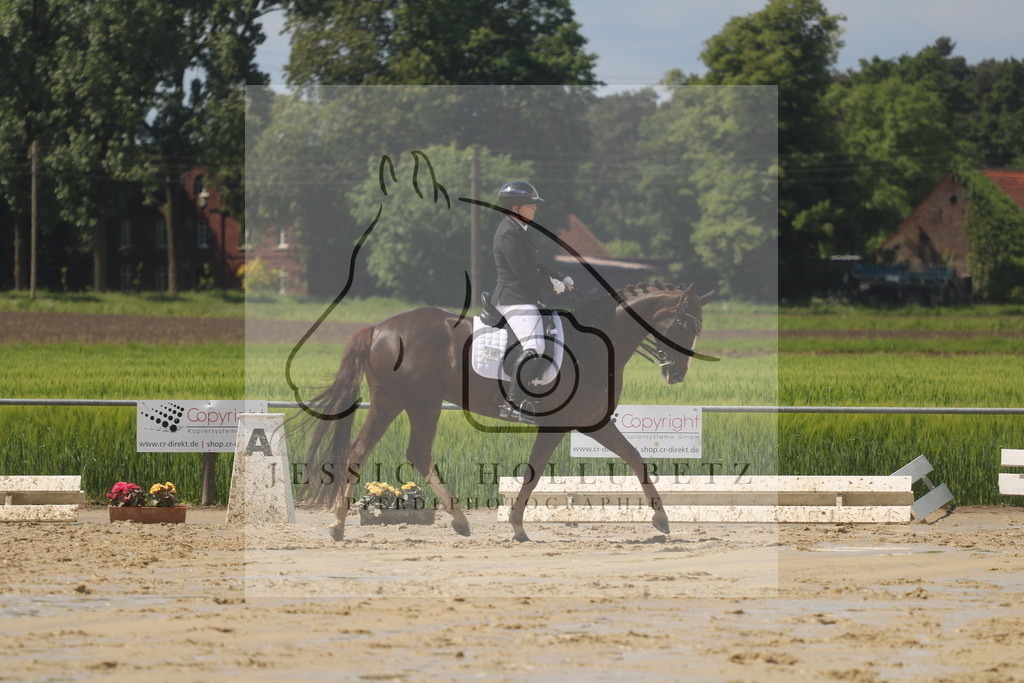 IMG_9188 | jessicahollubetz_pferdephotographie - Realisiert mit Pictrs.com