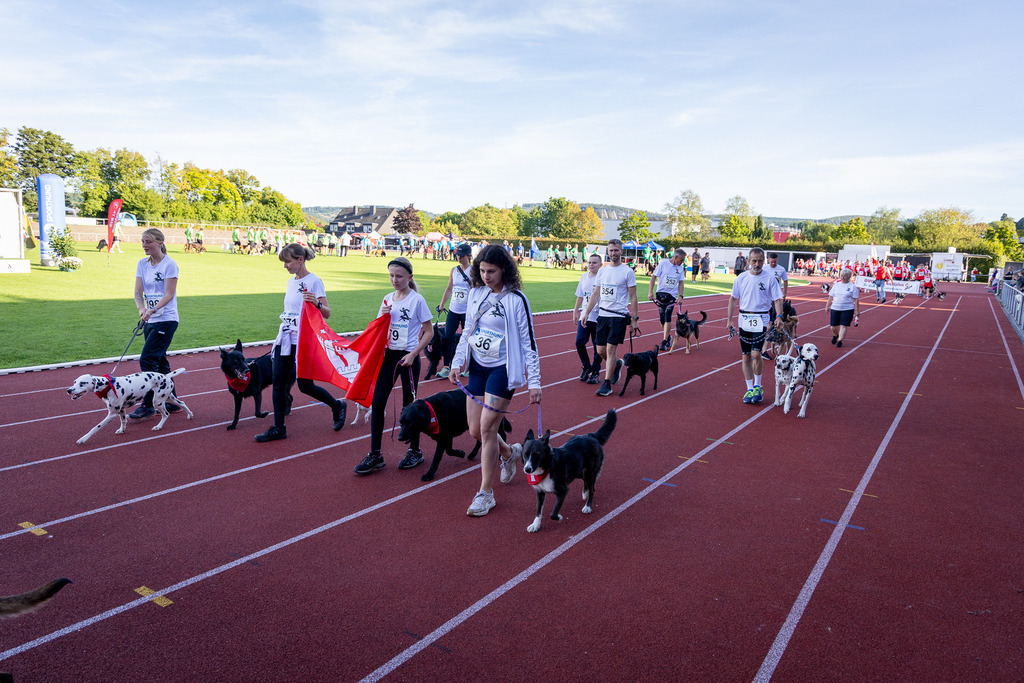 Pfotenfotografie_DV3A4306-2 | Hundefotografie, Tierfotograf, Pfotenfotografie, Fotoshooting Hund, Hunde Portrait, Hundesport, Hundeportraits, Heideshooting, Hunde, Sportfotograf, Hundefotograf, Turnierhundsport, THS,  - Realisiert mit Pictrs.com