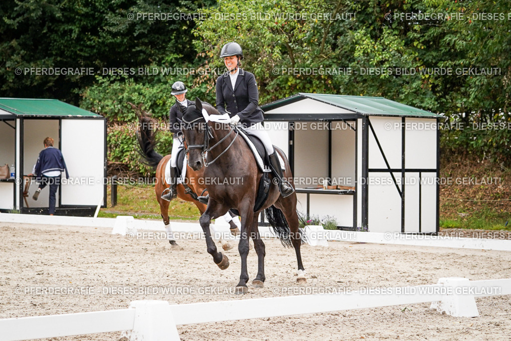 DSC04807 | Pferdegrafie