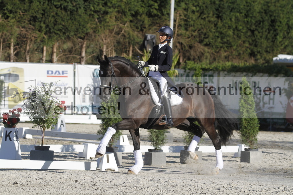 _MG_2837 | equestrian-live-com