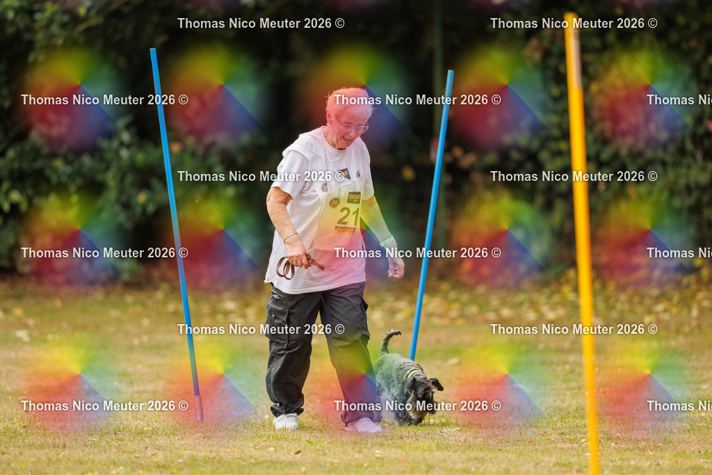 Thomas_Nico_Meuter(C)_22. August 2026_223A2878 | Bild von Thomas Nico Meuter - Realisiert mit Pictrs.com
