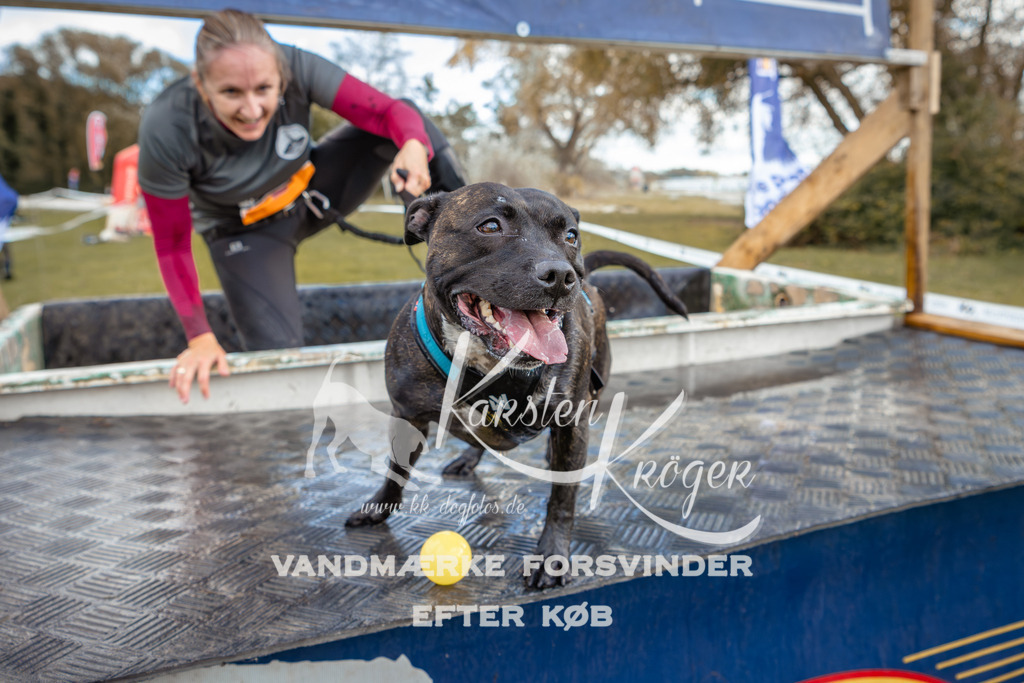 1518_ZZ96398 | kk-dogfotos