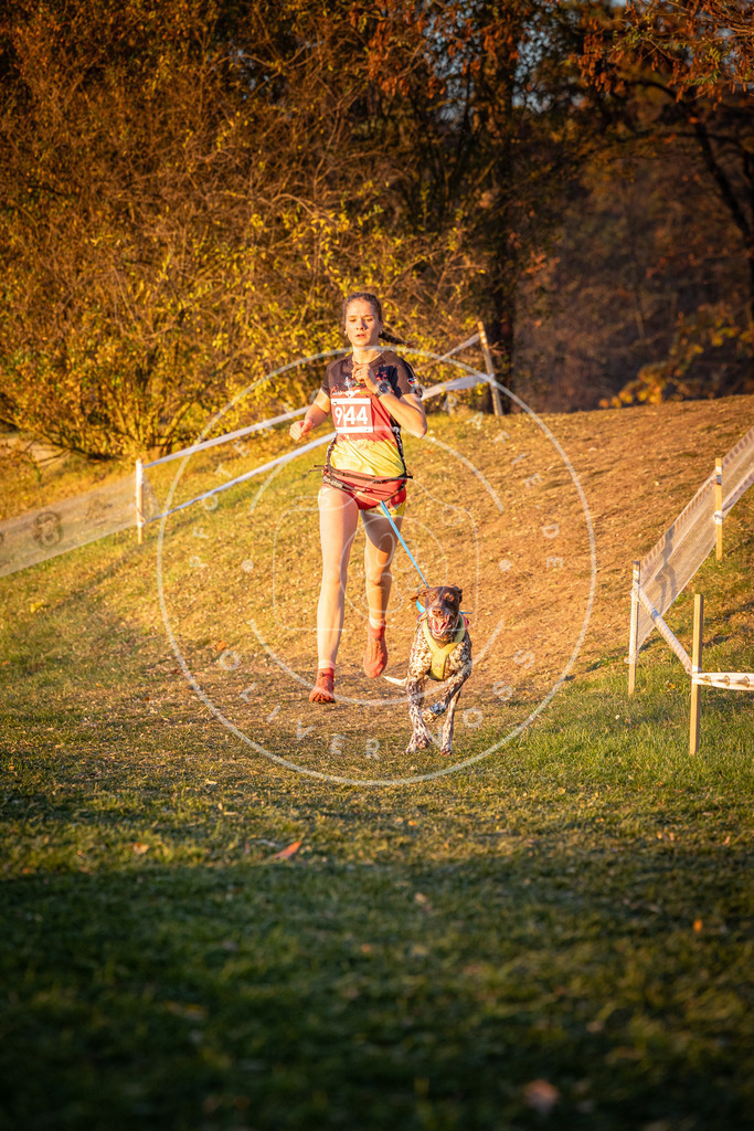 CaniXpix_0L8A1925 | Hundefotografie, Tierfotograf, Pfotenfotografie, Fotoshooting Hund, Hunde Portrait, Hundesport, Hundeportraits, Heideshooting, Hunde, Sportfotograf, Hundefotograf, Turnierhundsport, THS,  - Realisiert mit Pictrs.com